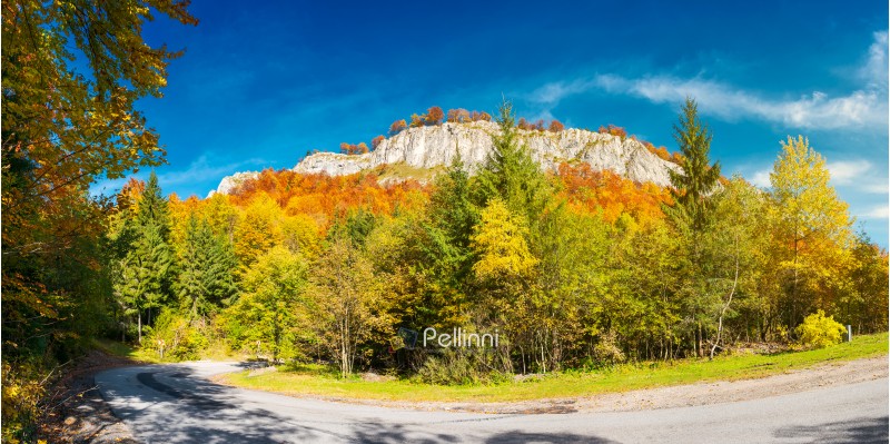 panorama of gorgeous serpentine in autumn forest. huge rocky formation on the hill above the path. beautiful nature and weather. colorful foliage