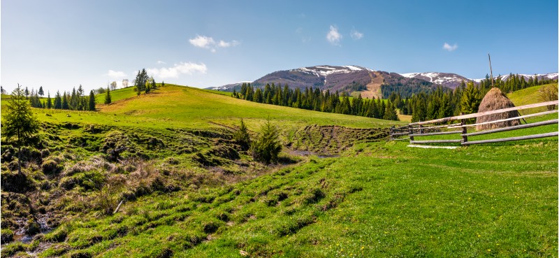 panorama of grassy meadow of rural area. gorgeous springtime landscape with forest and mountain ridge with snowy tops. haystack behind the fence near the brook