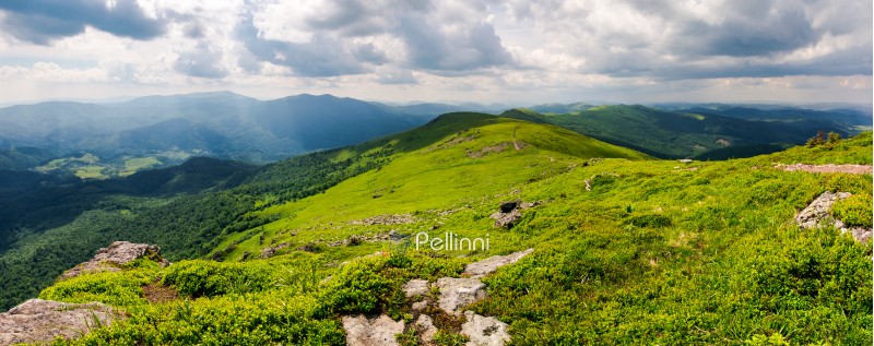 panorama of great Carpathian water dividing ridge. beautiful summer landscape view of Lviv and TransCarpathia regions of Ukraine from mountain Pikui