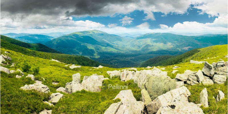 panorama of mountain landscape in summer. rocks lay among on a grassy slope down to the valley. beautiful view. overcast cloudy sky. windy summer weather.