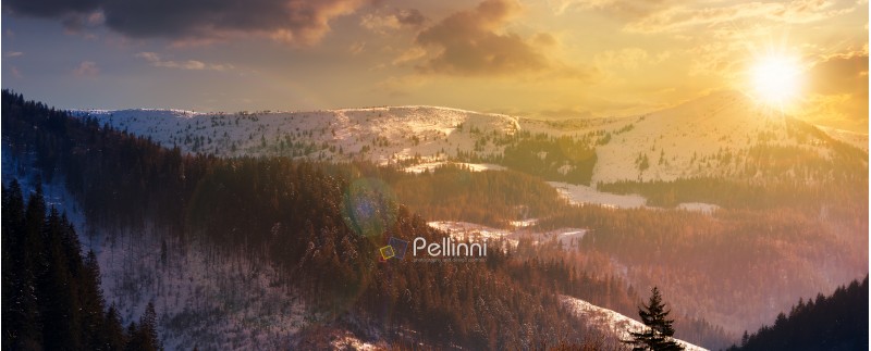 panorama of mountain ridge and forested hills at sunset. lovely winter scenery
