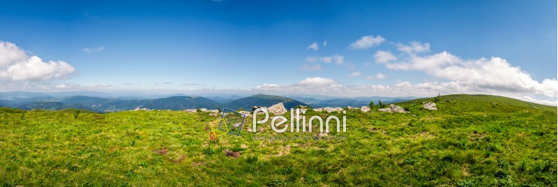 panorama of mountain. beautiful summer background on fine weather day