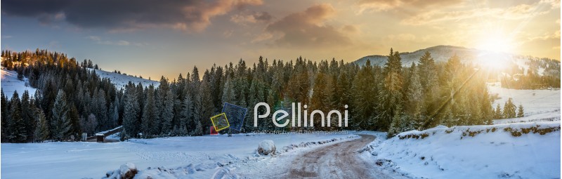 panoramic mountain landscape in winter. winding road that leads into the spruce forest on a snowy meadow in evening light