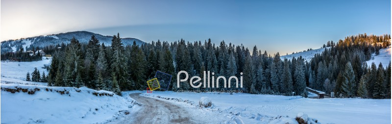 panoramic mountain landscape in winter. winding road that leads into the spruce forest on a snowy meadow