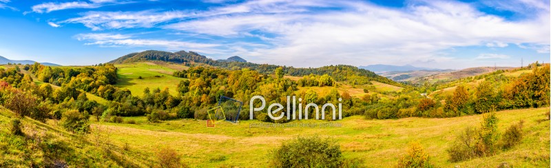 early autumn mountain landscape. panoramic view of green meadow near the forest on the hillside in Carpathians.