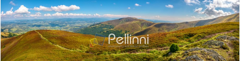panoramic summer landscape under blue sky with clouds. Path through hillside meadow on Borzhava mountain ridge in Carpathians