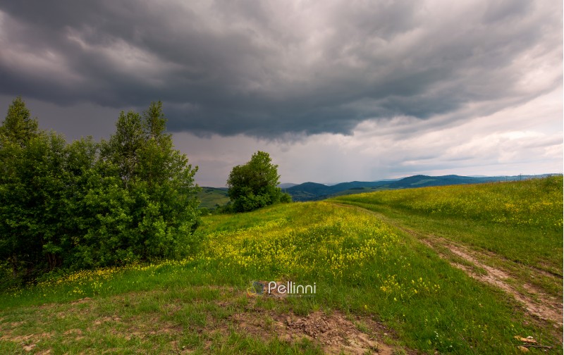 path across the grassy hill. lovely summer scenery. hiking and outdoor activities concept. dark cloudy sky.