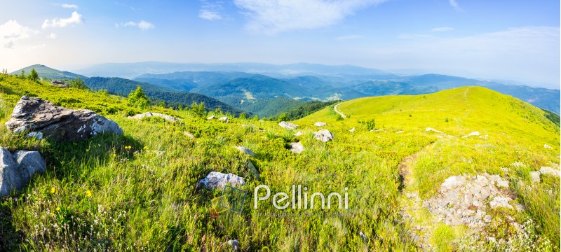 panoramic landscape with narrow meadow path in grass among white stones on top of mountain range in morning light