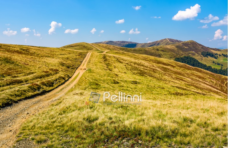 path on high altitude alpine grassy meadow on the ridge with peaks. beautiful travel scenery in sunny early autumn weather and blue sky with clouds