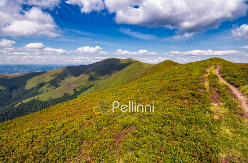 path on top of Carpathian mountain ridge. beautiful summer landscape under gorgeous sky with clouds