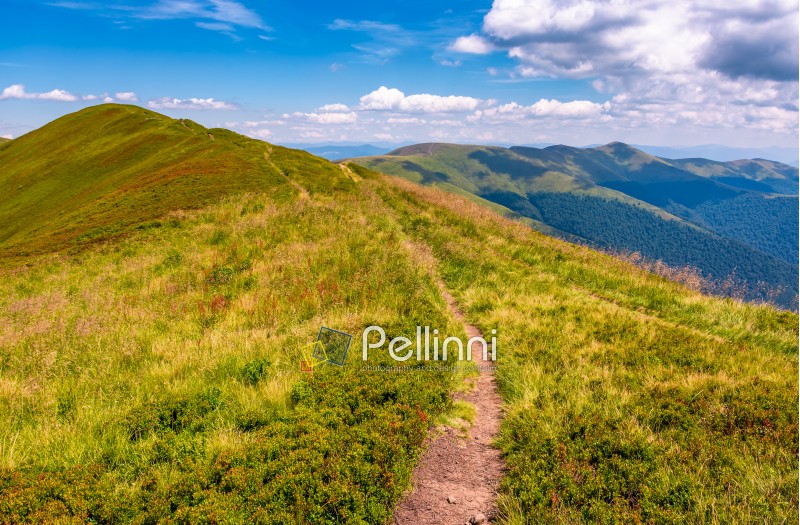 path on top of Carpathian mountain ridge. beautiful summer landscape under gorgeous sky with clouds