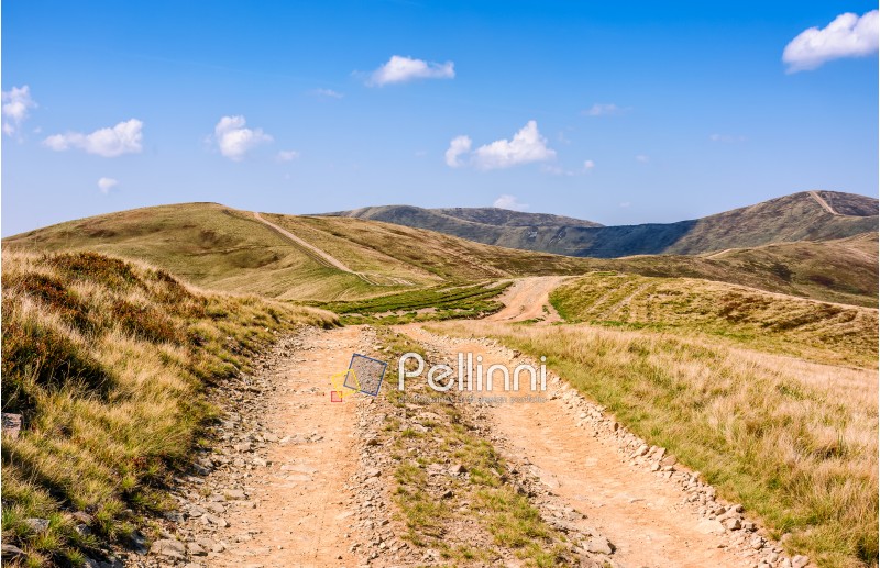 path through the mountain ridge. Carpathian summer landscape. fine weather with blue sky and few clouds.