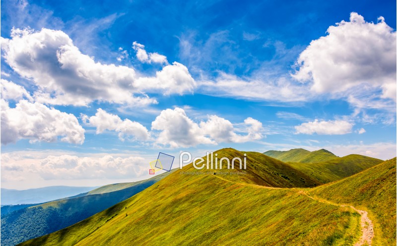 summer mountain landscape. path through the ridge to the top peak. big fluffy clouds in a blue sky