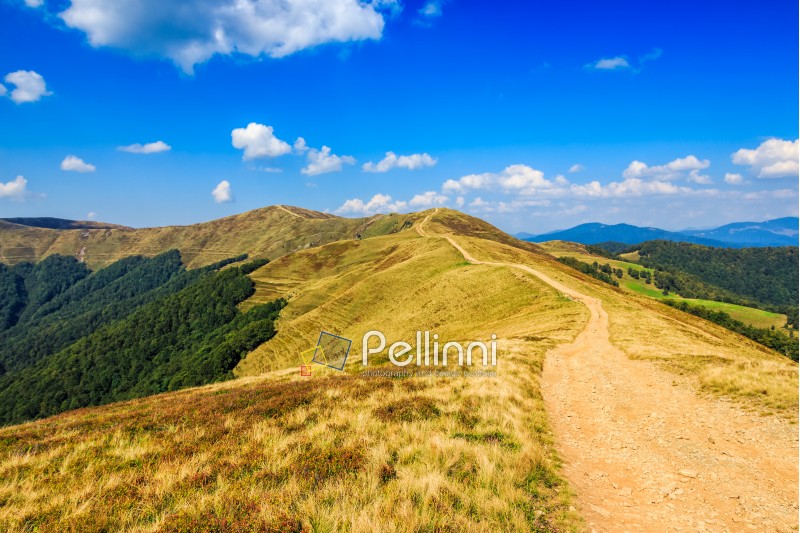 summer mountain landscape. path through the ridge to the top. fine weather with blue sky and few clouds