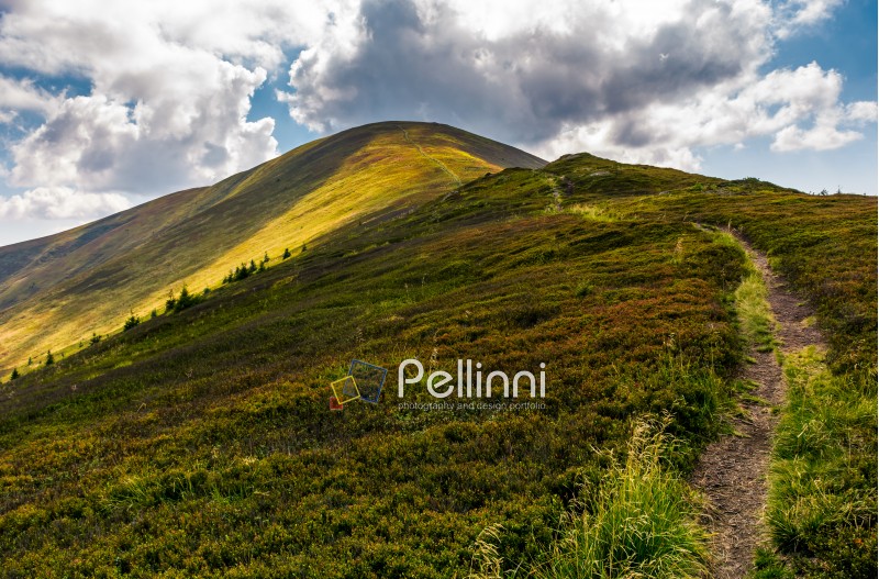 path uphill the mountain ridge. beautiful scenery in fine summer weather