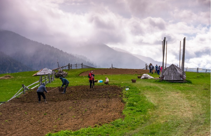 Synevyr village, Ukraine - May 9, 2017: peasants plant a crop on rainy springtime day. wooden fence around the rural field on grassy slope. Kamyanka mountain ridge in heavy clouds in the distance