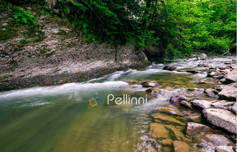 powerful green forest stream under the cliff. beautiful nature background