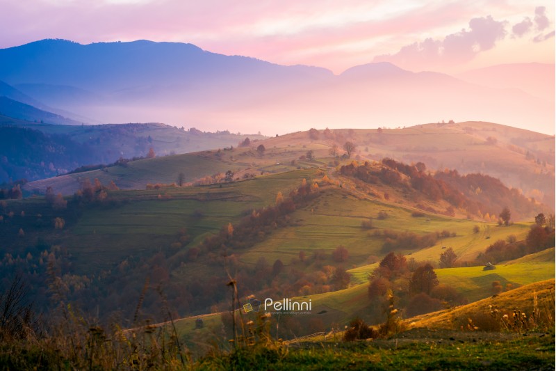 purple sunrise in foggy countryside. distant mountains in blue shade. fantastic autumn mood.