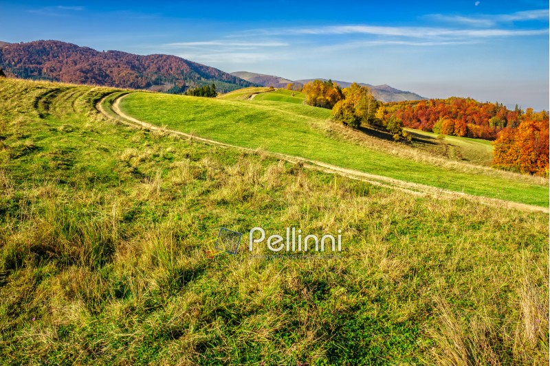 autumn  mountain landscape. yellow, red and orange trees near the path through the hill side meadow