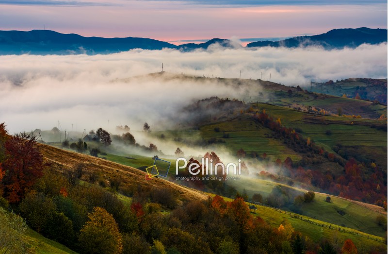 rising fog covers rural fields in mountains. spectacular autumnal countryside scenery with mountain ridge in a distance at dawn