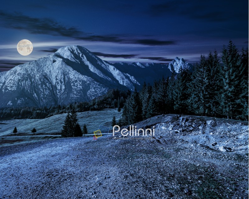road through spruce forest to mountains with high rocky peak at night in full moon light