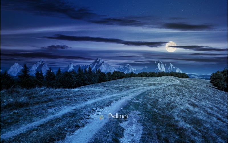 road through forested mountain ridge at night in full moon light. beautiful composite landscape with High Tatra mountains in the distance. lovely panorama of summer scenery