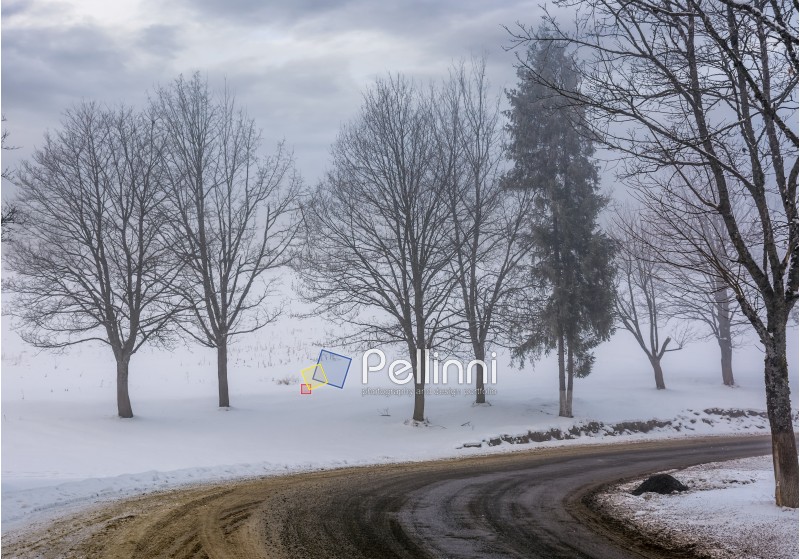 road through the foggy winter forest. naked trees by the road on a snowy hillside