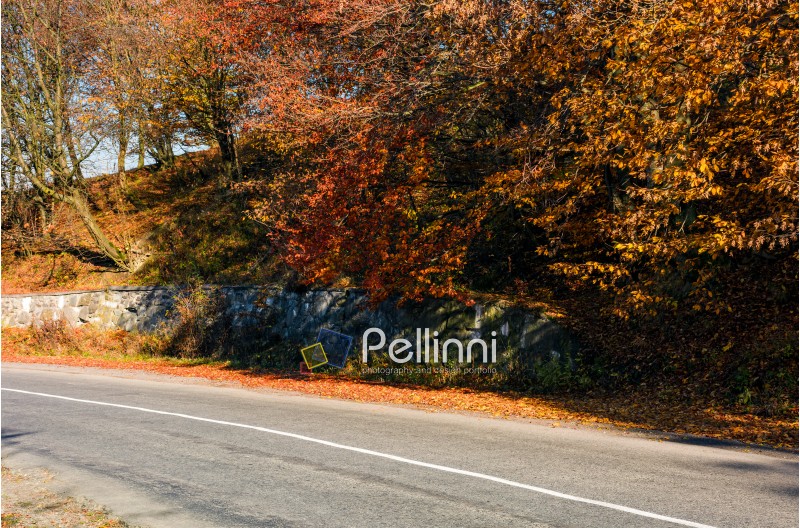 road through the forest with red foliage. beautiful autumn weather