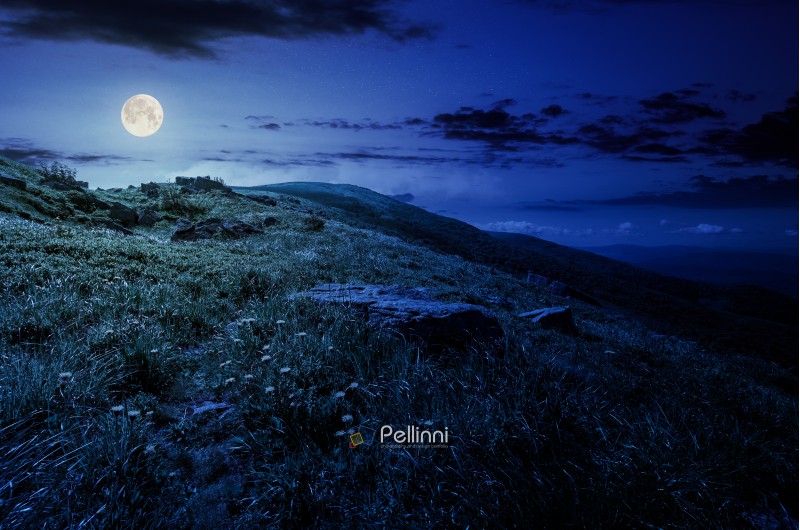 rocks on grassy hillside of the mountain at night in full moon light. yellow dandelions along the path uphill in to the sky with fluffy clouds. beautiful summer background