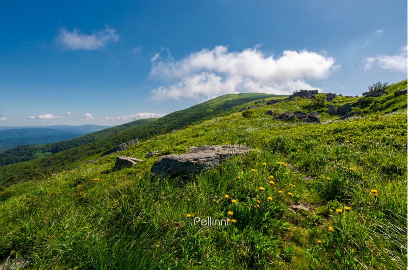 rocks on grassy hillside of the mountain. yellow dandelions along the path uphill in to the sky with fluffy clouds. beautiful summer scenery. tracking and hiking activity background