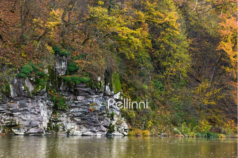 rocky cliff over the river in forest. beautiful autumn background with lots of textures