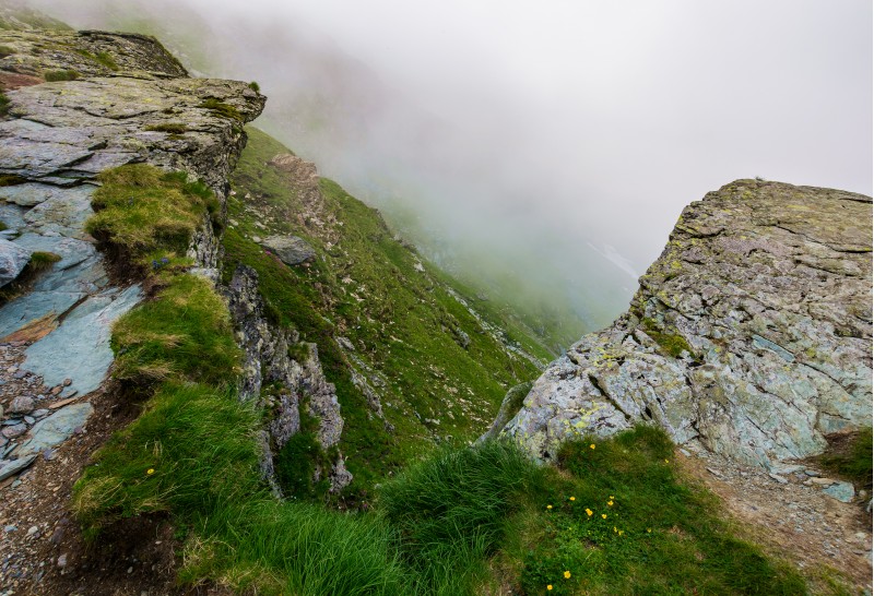 rocky cliffs in foggy weather. wild flowers among the grassy slopes. dramatic view from the hill