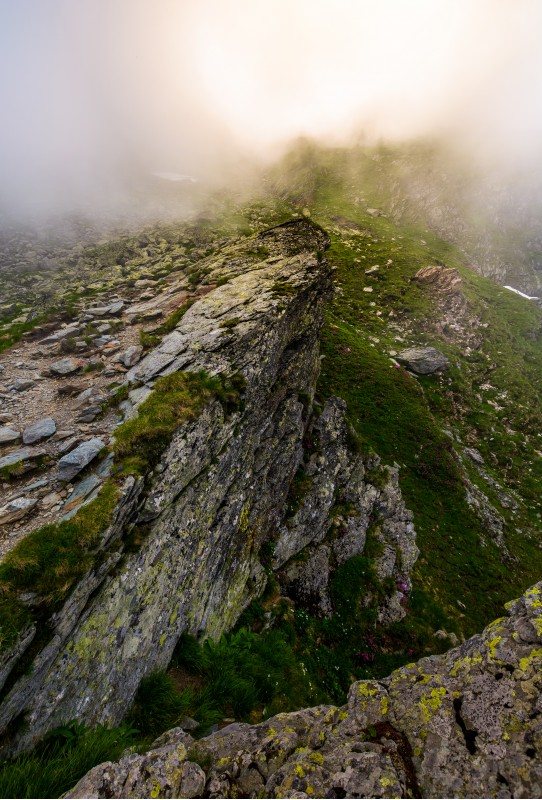 rocky cliffs of Fagaras mountains in fog. fantastic atmosphere of mysterious scenery of Romania Carpathians in summer. sun is shining behind the haze.