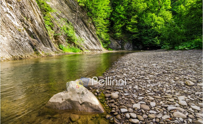 rocky shore of calm forest river. fresh summer nature background