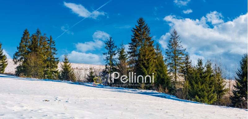 row of spruce trees on a snowy hillside. beautiful nature scenery on a fine winter day