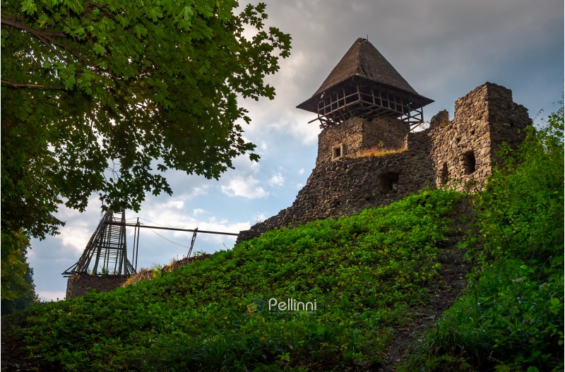 ruins of Nevytsky Castle on grassy hill. medieval fortress is popular tourist destination of TransCarpathia, Ukraine
