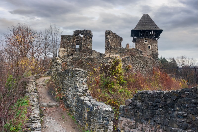 ruins of Nevytsky castle of TransCarpathia on a gloomy november day. popular tourist destination of Ukraine