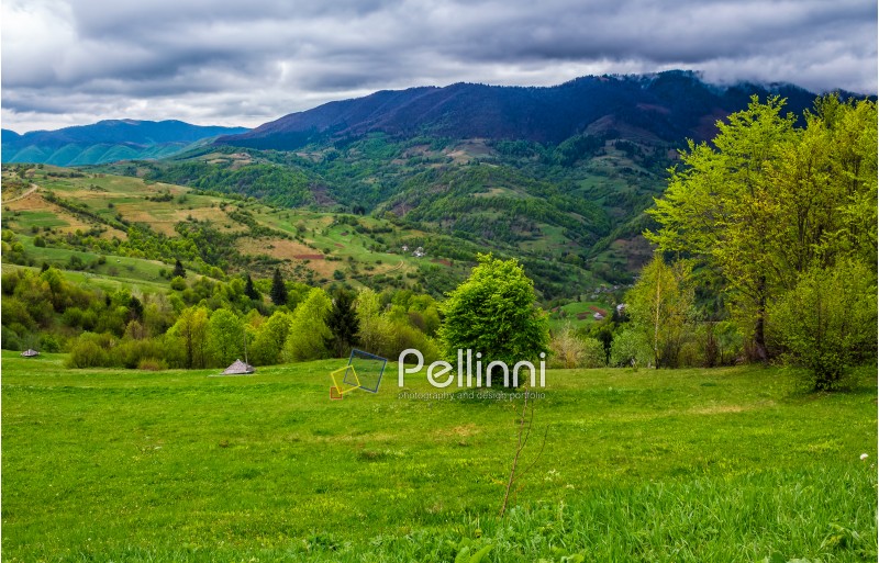 rural area in the beautiful valley. vivid Carpathian Countryside landscape