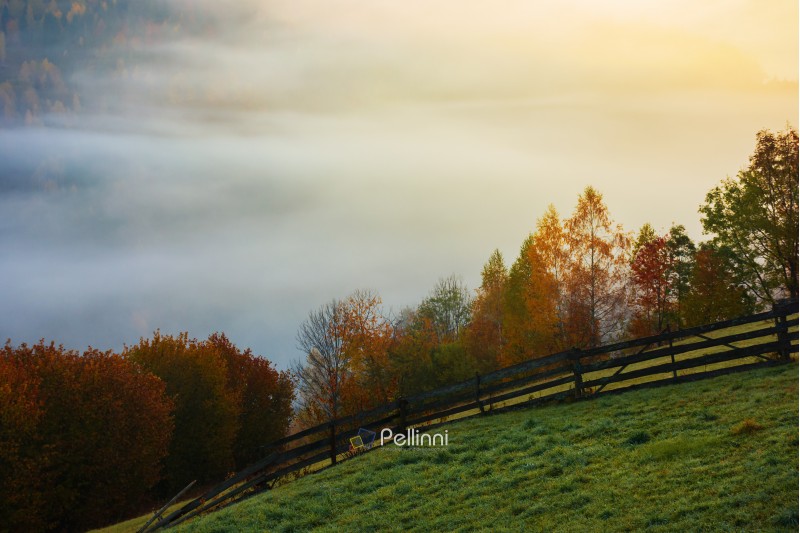 rural area in mountains at foggy sunrise. wonderful autumn scenery. wooden fence along the grassy hill side meadow