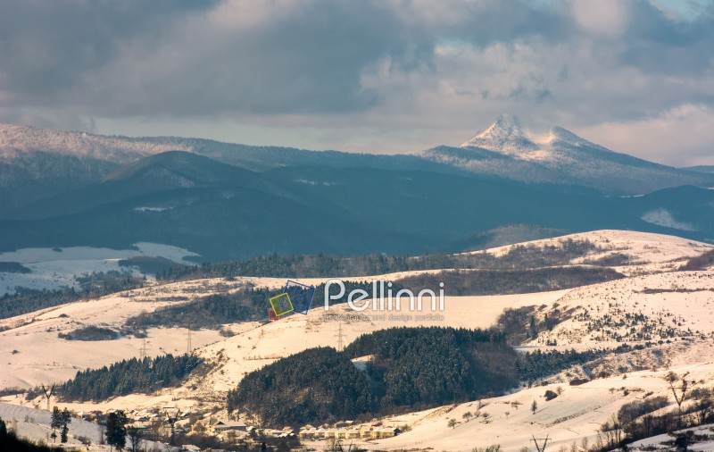 rural area in winter Carpathians. agricultural fields and spruce forests on snowy hillsides. huge mountain ridge with Pikui peak in the distance