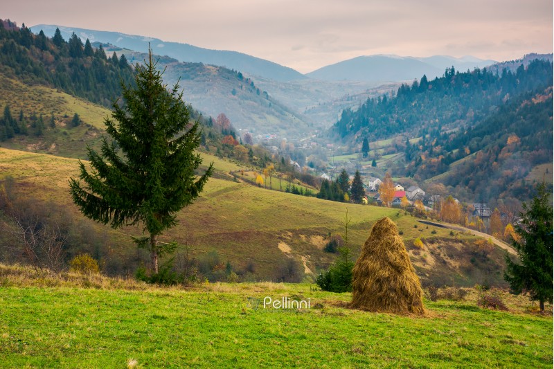 beautiful rural area of Carpathian mountains. haystack and spruce tree on edge of a hill. village down in hazy valley