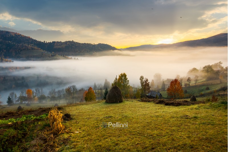 rural area on foggy autumn morning. gorgeous countryside landscape in mountains