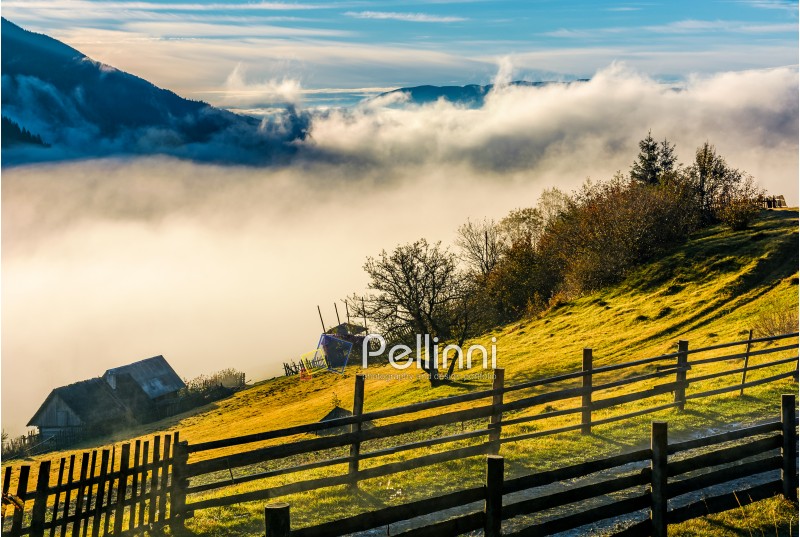 rural area on hillside in rising cloud at sunrise. gorgeous autumnal countryside scenery in foggy mountains