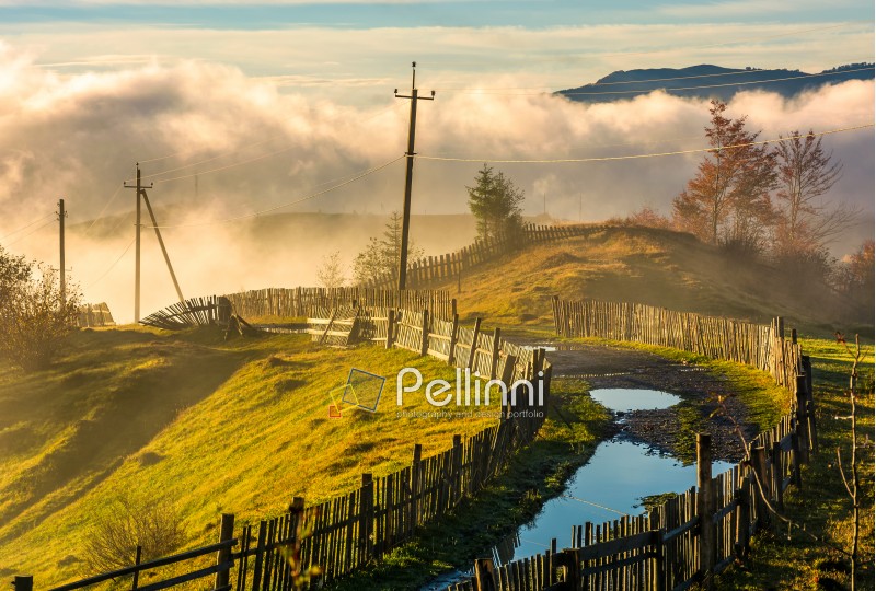 rural road among the wooden fences in morning fog. spectacular scenery in mountains at sunrise