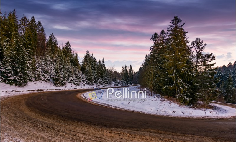 serpentine in spruce forest at dusk. beautiful nature scenery in winter