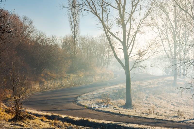 serpentine uphill through forest in morning mist. lovely transportation scenery in november 