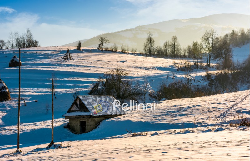 shed on snow covered agricultural hillside. lovely rural scenery in winter