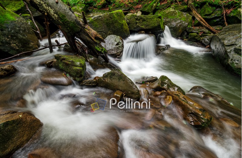 small cascades on the forest river among huge boulders covered with moss. Fresch and clean nature environment. dreamy Carpathian landscape