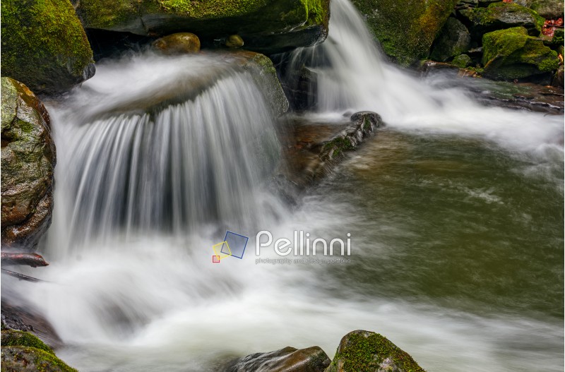 small cascades on the forest river among huge boulders covered with moss. Fresch and clean nature environment. dreamy Carpathian landscape