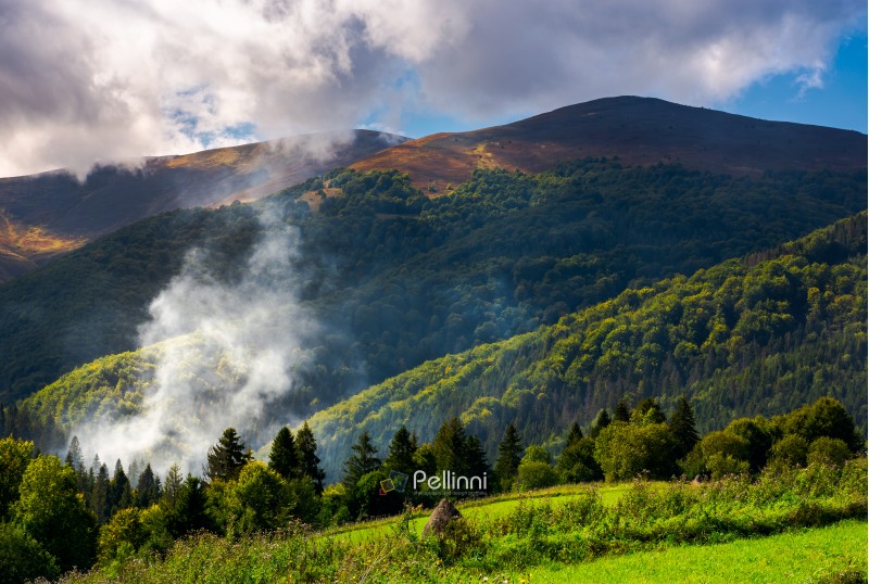 smoke from the fire in forest. mountainous summer landscape. environmental problem and ecology disaster of Carpathian countryside